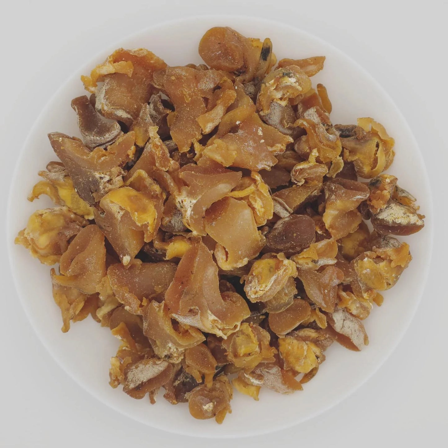 美國螺頭 #300g